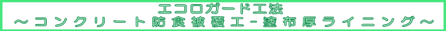 @@@GRK[hH@@@ @@@`RN[ghH핢H-hz^CjO`@@@